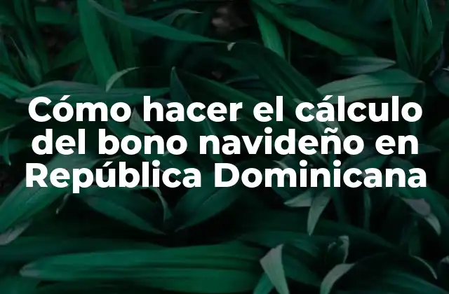 Cómo Hacer el Cálculo Del Bono Navideño en República Dominicana