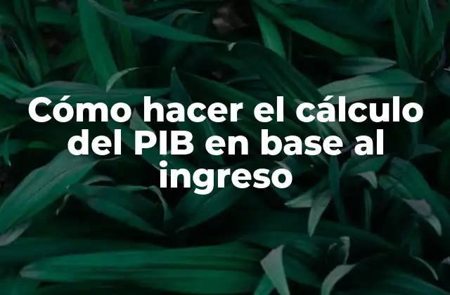 Cómo Hacer el Cálculo Del Pib en Base Al Ingreso