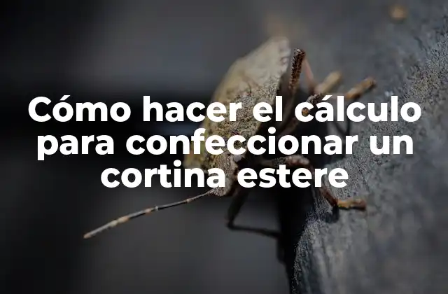 Cómo Hacer el Cálculo para Confeccionar un Cortina Estere