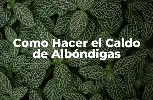 Como Hacer el Caldo de Albóndigas