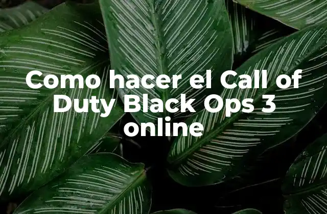 Como Hacer el Call Of Duty Black Ops 3 Online