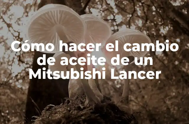 Cómo Hacer el Cambio de Aceite de un Mitsubishi Lancer