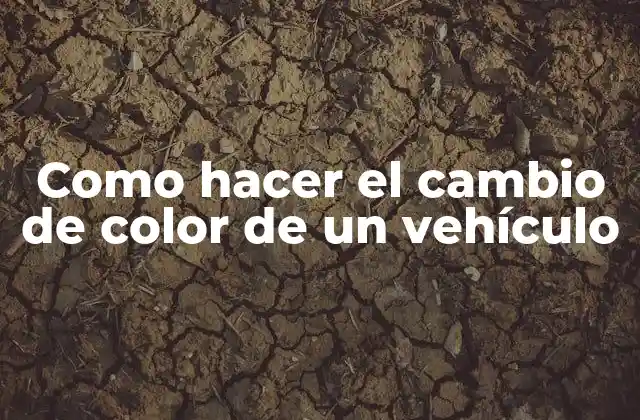 Como Hacer el Cambio de Color de un Vehículo