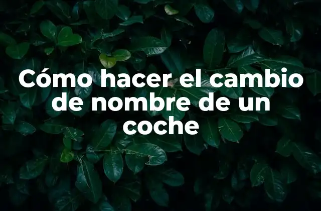Cómo Hacer el Cambio de Nombre de un Coche 2 Cómo hacer el cambio de nombre de un coche