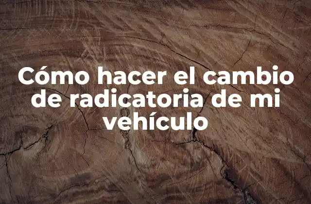 Cómo Hacer el Cambio de Radicatoria de Mi Vehículo