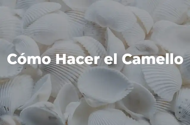 Cómo Hacer el Camello