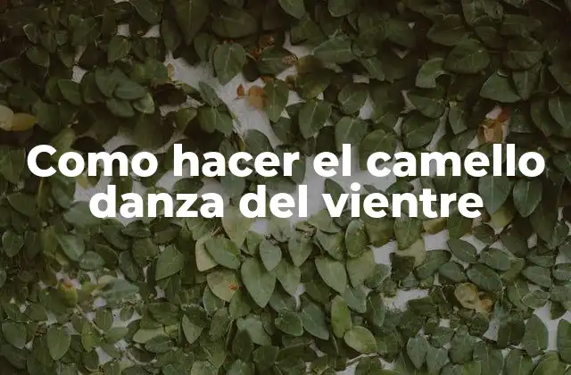 Como Hacer el Camello Danza Del Vientre