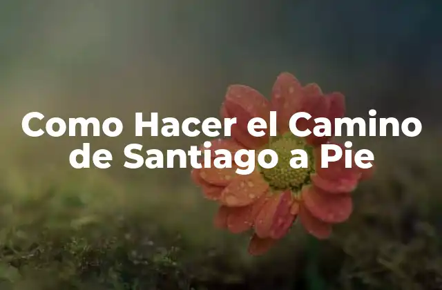 Como Hacer el Camino de Santiago a Pie