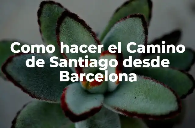 Como Hacer el Camino de Santiago desde Barcelona
