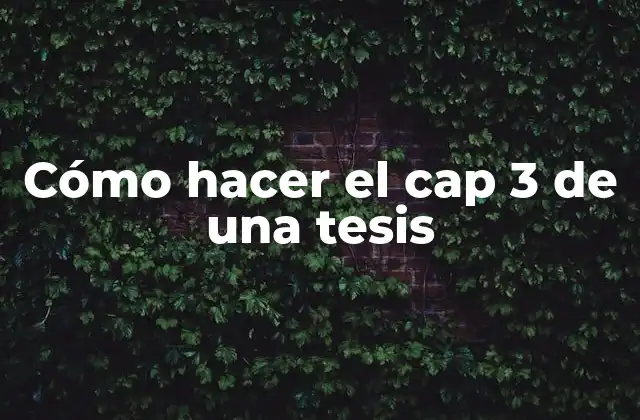 Cómo Hacer el Cap 3 de una Tesis