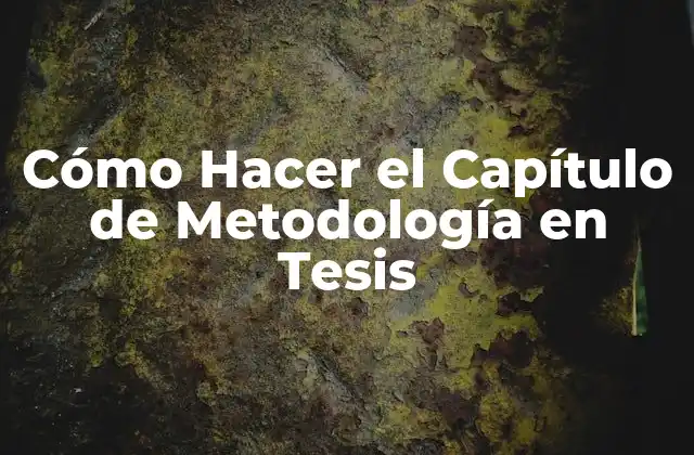 Cómo Hacer el Capítulo de Metodología en Tesis