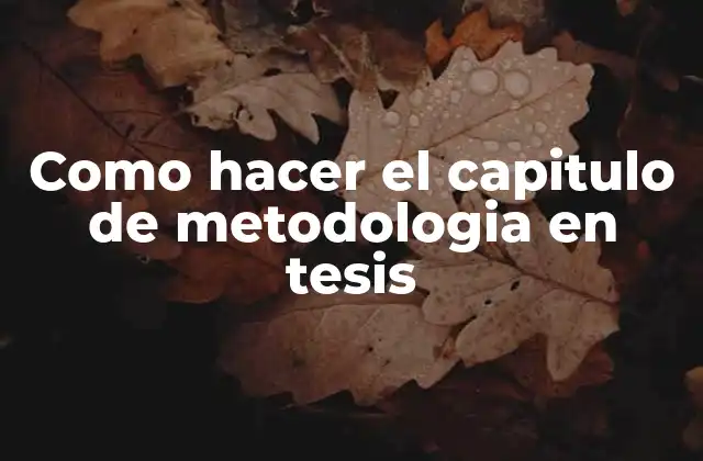 El capítulo de metodología en una tesis