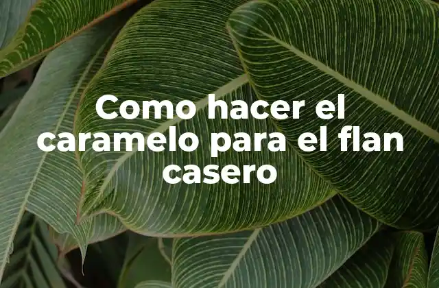 Como Hacer el Caramelo para el Flan Casero