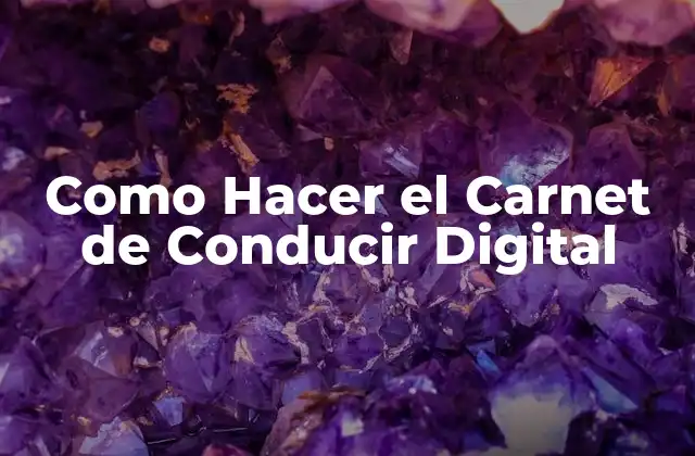 Como Hacer el Carnet de Conducir Digital