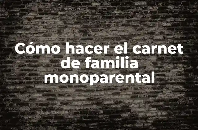 Cómo Hacer el Carnet de Familia Monoparental