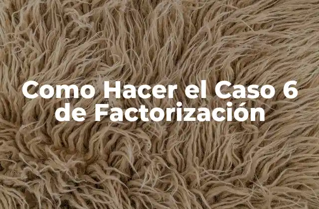 Como Hacer el Caso 6 de Factorización