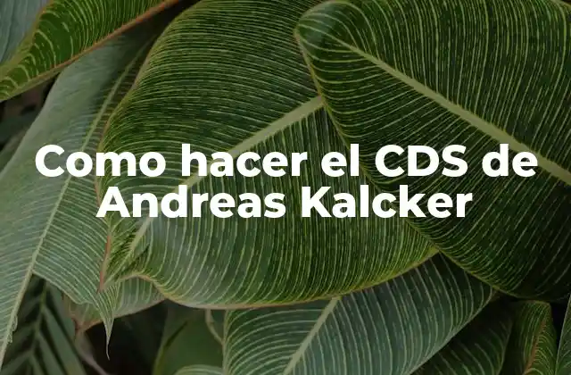 Como Hacer el Cds de Andreas Kalcker 2 ¿Qué es el CDS de Andreas Kalcker?