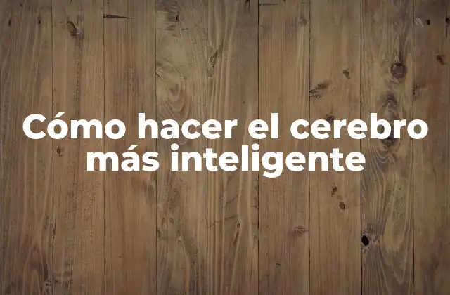 ¿Qué es la inteligencia cerebral y cómo se desarrolla?