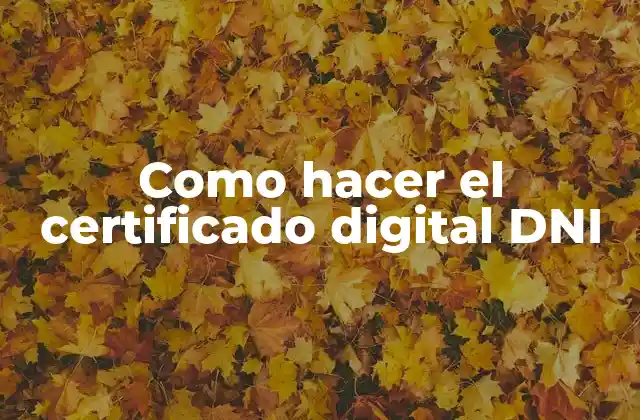 Como Hacer el Certificado Digital Dni