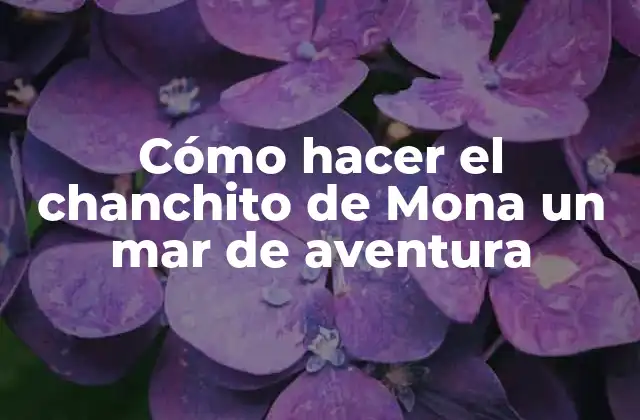 Cómo Hacer el Chanchito de Mona un Mar de Aventura 2 El chanchito de Mona: ¿qué es y para qué sirve?