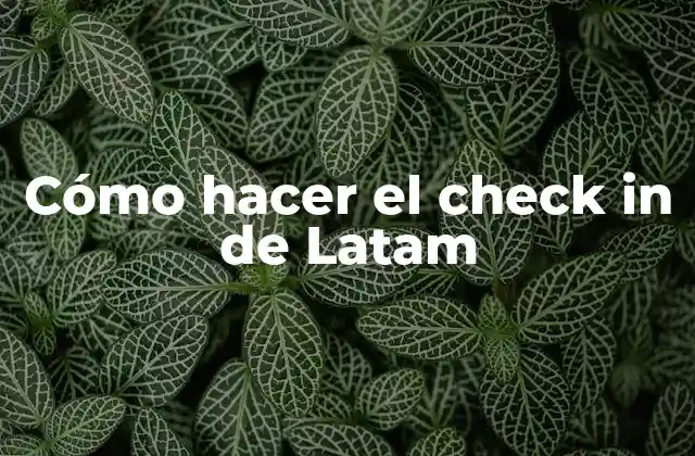 Cómo Hacer el Check In de Latam