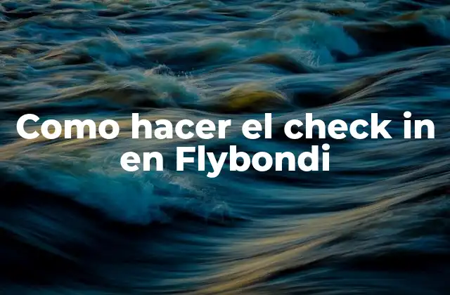 Como Hacer el Check In en Flybondi