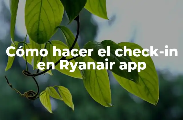 Cómo Hacer el Check-in en Ryanair App 2 Cómo hacer el check-in en Ryanair app