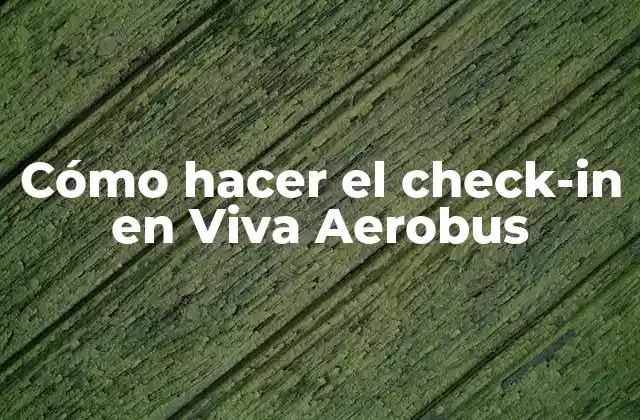 ¿Qué es el check-in en Viva Aerobus?