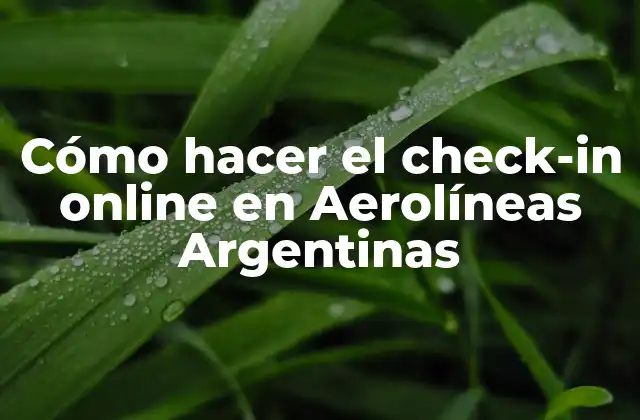 Cómo Hacer el Check-in Online en Aerolíneas Argentinas