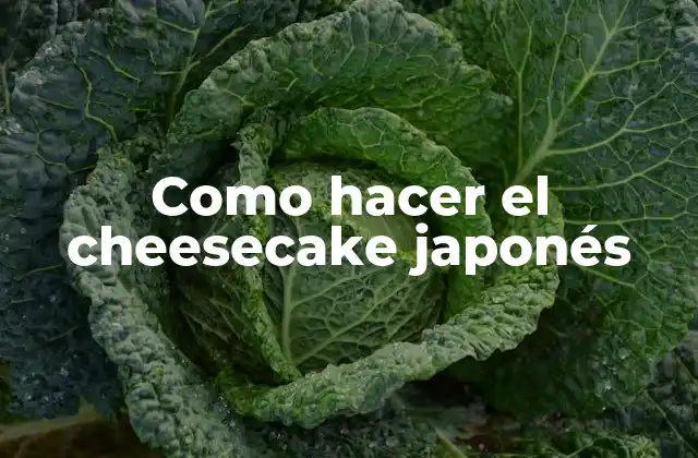 ¿Qué es el cheesecake japonés y cómo se diferencia de otros tipos de cheesecakes?