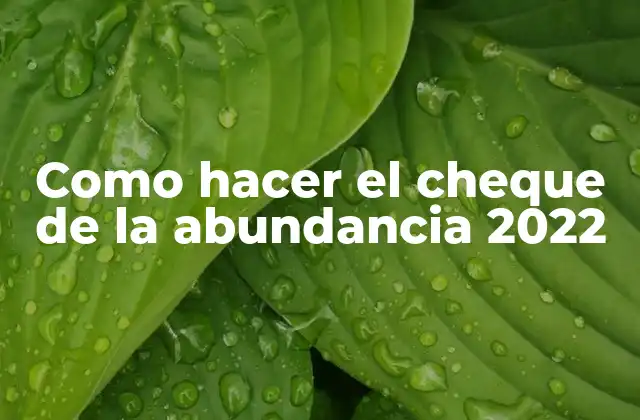 Como Hacer el Cheque de la Abundancia 2022