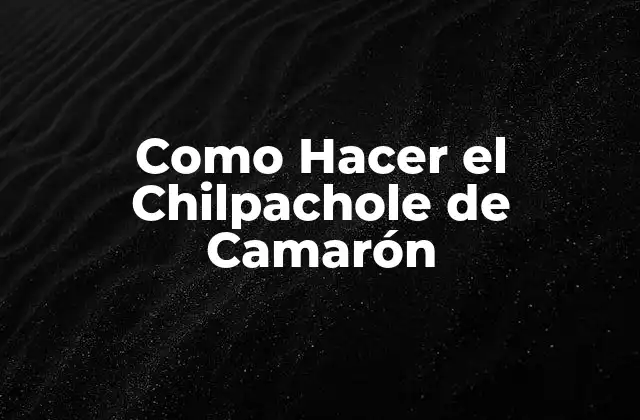 ¿Qué es el Chilpachole de Camarón?