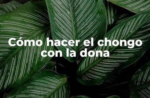 ¿Qué es el chongo con la dona?