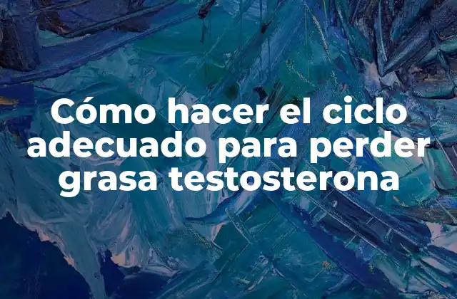 Cómo Hacer el Ciclo Adecuado para Perder Grasa Testosterona