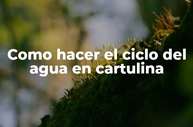 Como Hacer el Ciclo Del Agua en Cartulina