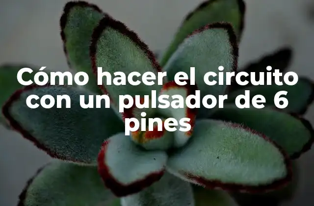 Cómo Hacer el Circuito con un Pulsador de 6 Pines