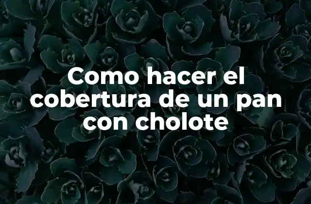 Como Hacer el Cobertura de un Pan con Cholote