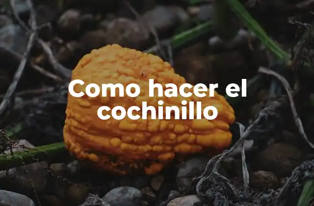 Como Hacer el Cochinillo