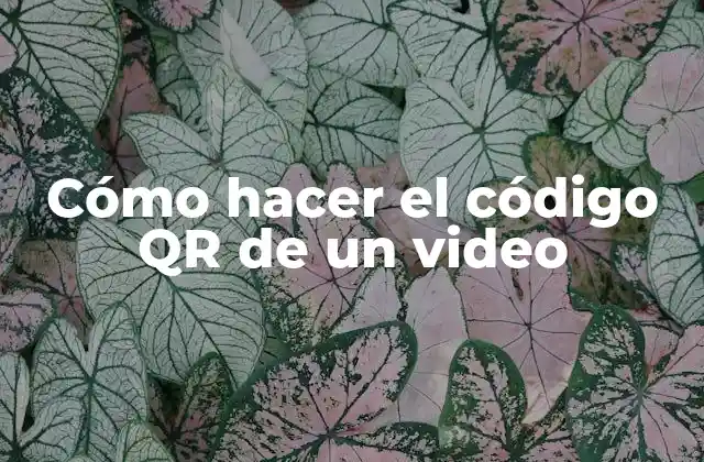 Cómo Hacer el Código Qr de un Video