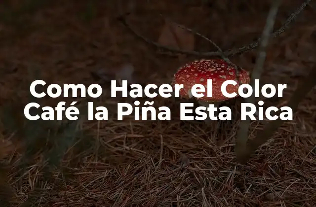 Como Hacer el Color Café la Piña Esta Rica