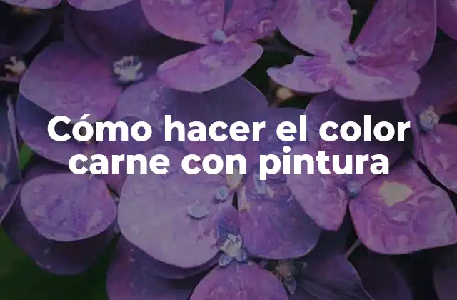 Cómo Hacer el Color Carne con Pintura