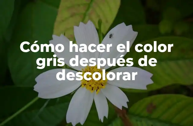 Cómo Hacer el Color Gris Después de Descolorar