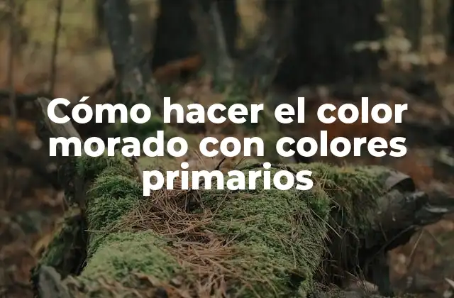 Cómo Hacer el Color Morado con Colores Primarios