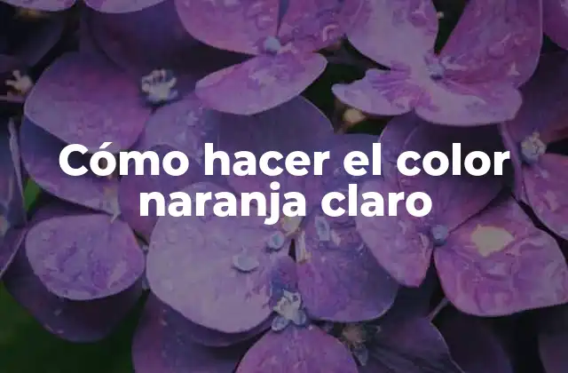 Cómo Hacer el Color Naranja Claro 2 Cómo hacer el color naranja claro