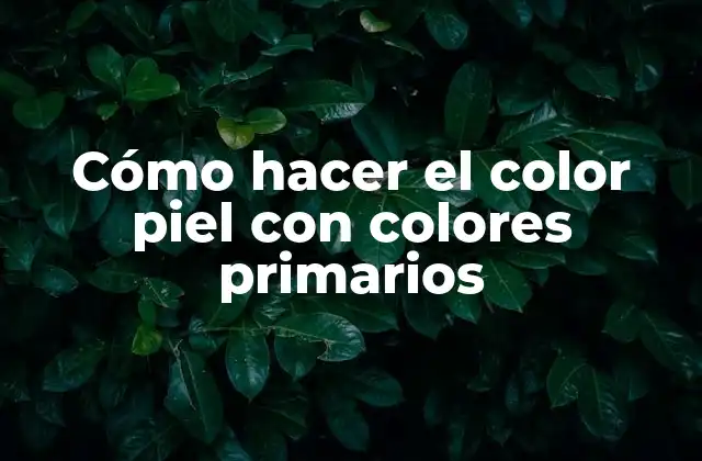 Cómo Hacer el Color Piel con Colores Primarios