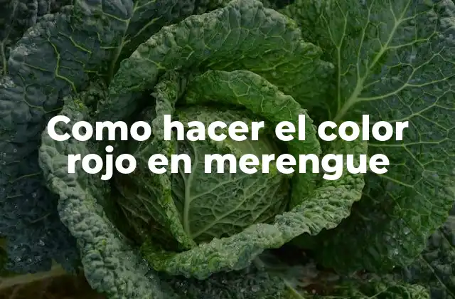 Como Hacer el Color Rojo en Merengue