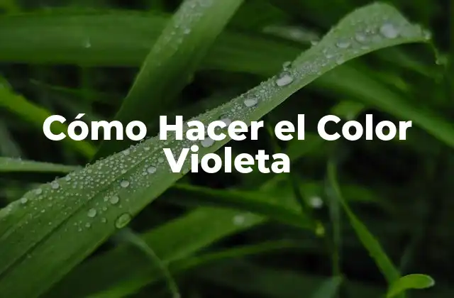 Cómo Hacer el Color Violeta 2 ¿Qué es el Color Violeta y Para Qué Sirve?