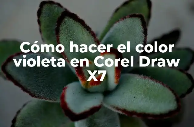 Cómo Hacer el Color Violeta en Corel Draw X7