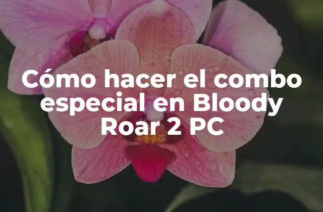 Cómo Hacer el Combo Especial en Bloody Roar 2 Pc 2 ¿Qué es el combo especial en Bloody Roar 2 PC?