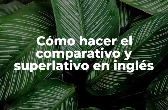 Cómo Hacer el Comparativo y Superlativo en Inglés